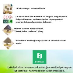 Erc Monifleks Tekli Ergonomik Monitör Altlığı, Monitör Yükseltici Safir Meşe